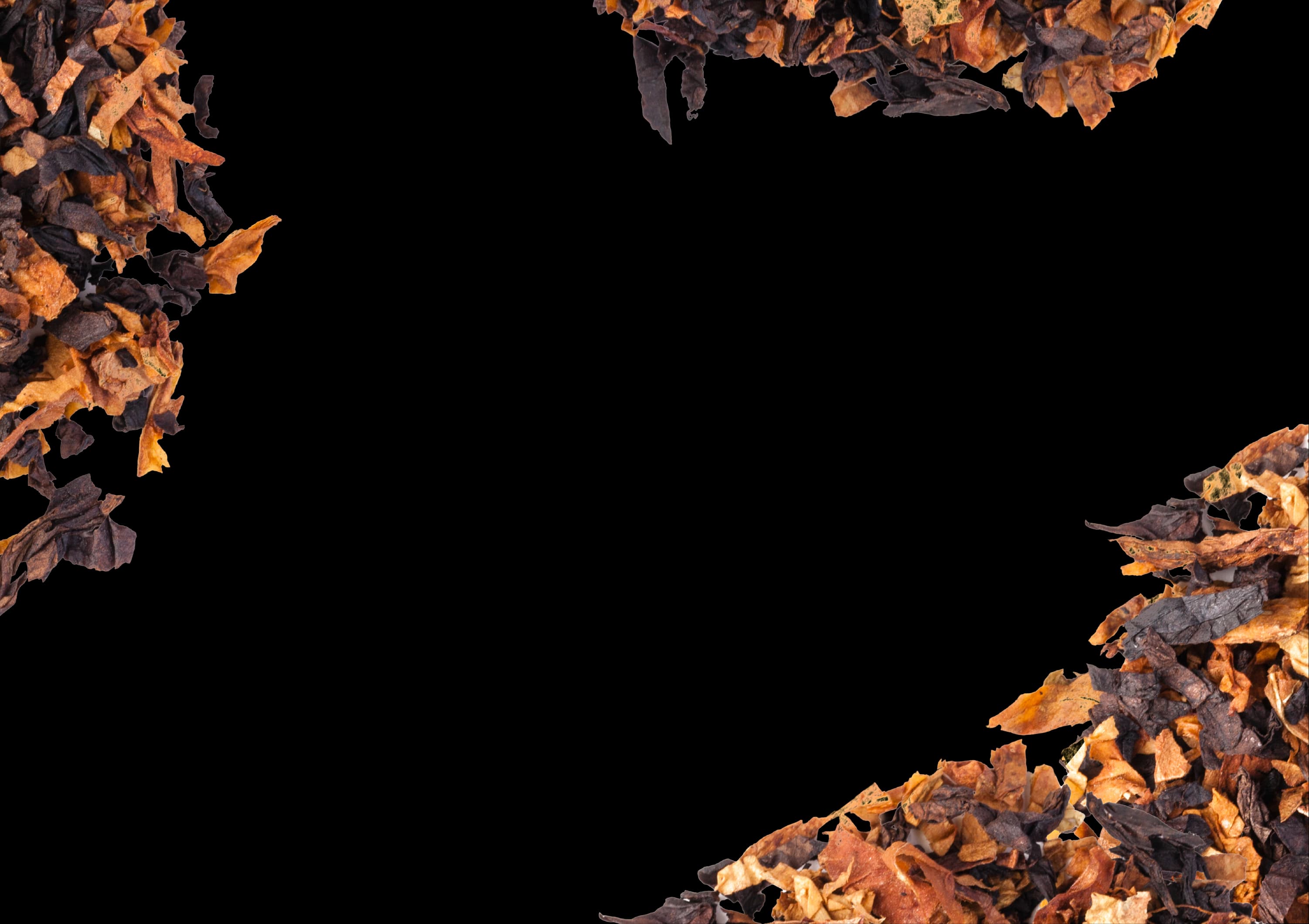 /img/web/textures/seco.webp